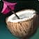 Coconut Rum