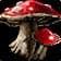 Redcap Toadstool